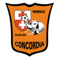 Zajęcia z trenerami MMKS CONCORIA